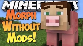 Minecraft MORPH INTO ANY MOB  Command Block Showcase [upl. by Ardnuaek]