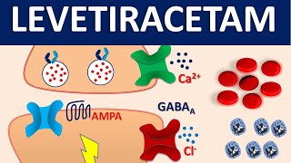 Levetiracetam Keppra  Mechanism side effects precautions and uses [upl. by Etolas]