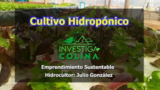 Cultivo Hidropónico Ejemplo de emprendimiento sustentable en Colina Chile [upl. by Lupe949]