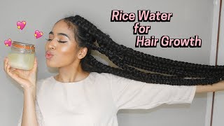 How to Make Rice Water Super Hair Growth Treatment 2 ways  Lana Summer [upl. by Barthelemy809]