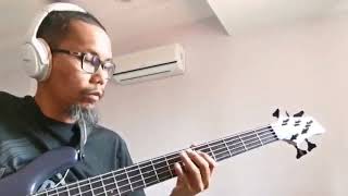 mellowship slinky in b major  Rhcp bass cover [upl. by Jemine592]