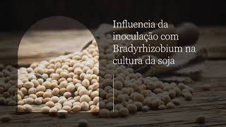 Inoculação com Bradyrhizobium na cultura da soja [upl. by Singband211]