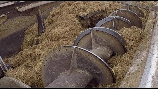 Why I use a Feed Wagon to feed cattle [upl. by Zug]