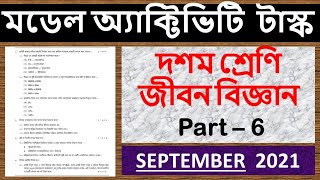 MODEL ACTIVITY TASK  Class 10  Life Science  PART  6  September  2021 [upl. by Lacram]