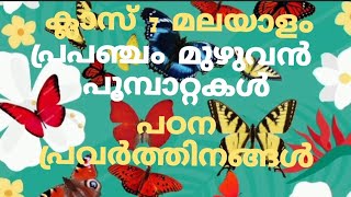 7th standard malayalam keralapadavali prapancham muzhuvan poombattakal പ്രപഞ്ചം മുഴുവൻ പൂമ്പാറ്റകൾ [upl. by Ennyrb818]