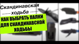 Как выбрать палки для скандинавской ходьбы [upl. by Amat]