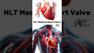 HLT Medical Heart Valve medical animation 3d short [upl. by Nimajnab803]