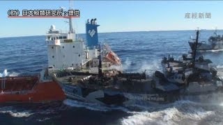 シー・シェパード危険な体当たり、調査捕鯨の給油また妨害 [upl. by Strenta289]