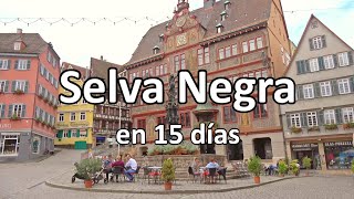 📌 SELVA NEGRA en 15 días Friburgo Triberg Stuttgart 🟢 GUÍA DE VIAJE 4K  Alemania [upl. by Crean]