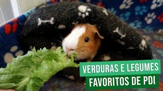 FRUTAS E VEGETAIS FAVORITOS DE PORQUINHOS DA ÍNDIA [upl. by Peers259]