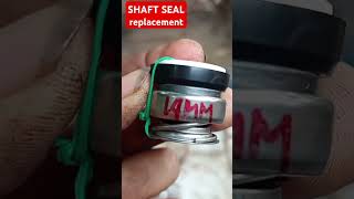 Water pump SHAFT SEAL replacement [upl. by Berghoff]