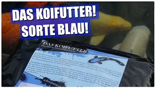 DAS KOIFUTTER BLAU [upl. by Maccarthy]