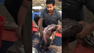 amazing Katol fish fishingvideo fishcuting fish fishcooking youtubeshorts fishing fishcutting [upl. by Eiramnerual532]