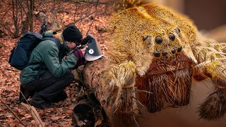 Macro Photography in Winter  Tips amp Technique [upl. by Bronson]