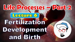 Fertilization Development Birth  Life processes in Living Organisms Part 2 Class 10 SSC CBSE [upl. by Yvonne621]