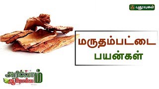 மருதம் பட்டை நன்மைகள்  Marutham Pattai Benefits  EP 62  Arivom Arogyam [upl. by Aneed]