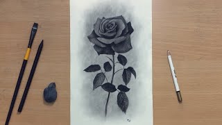 Charcoal Drawing of a Rose [upl. by Dnomhcir963]