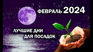 ЛУННЫЙ КАЛЕНДАРЬ ОГОРОДНИКА ФЕВРАЛЬ 2024 [upl. by Fotina]