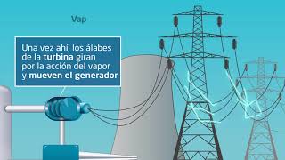 Funcionamiento de una central nuclear en un minuto [upl. by Aenitsirhc]