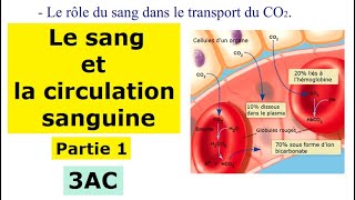 Le sang et la circulation sanguine chez lHomme  Partie1  3AC [upl. by Benyamin]