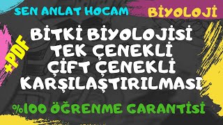 BİTKİ BİYOLOJİSİ KONU ANLATIMI 8  TEK VE ÇİFT ÇENEKLİ KARŞILAŞTIRMASI  AYT BİYOLOJİ  ✅ [upl. by Ecadnac]