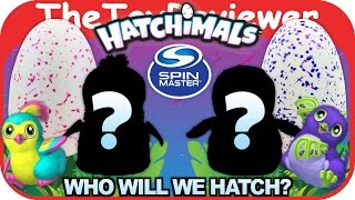 Hatchimals Eggs Penguala amp Draggle Hatching Day Spin Master Unboxing Toy Review by TheToyReviewer [upl. by Ennayllek]