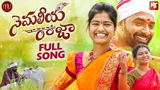 NEMALEEYA RAJA NEW FOLK SONG 2022 MAMIDIMOUNIKA SVMALLIKTEJA MVMUSIC [upl. by Rintoul]