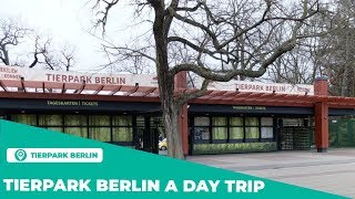 Tierpark Berlin a day trip Besuch im Tierpark [upl. by Assena597]