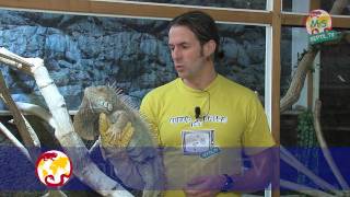 ReptilTV  Folge 15  Handling von Echsen [upl. by Hallvard]