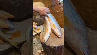 Delicious Giant Poa Fish Cutting Skills In Expert Fish Cutter Live In Fish Market part13 shorts [upl. by Alistair]