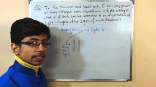 Meselson and Stahl experiment  DNA synthesis problem for CSIR UGC NET life sciences [upl. by Lebasiram]