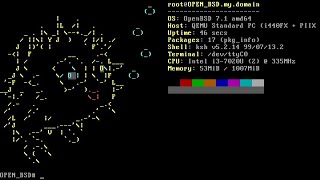 How to Install OpenBSD 71 OpenBSD [upl. by Enidlareg]