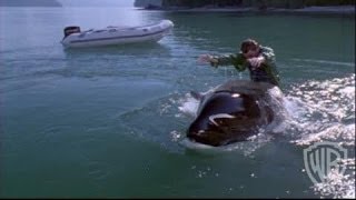 Free Willy 3 the Rescue  Trailer 1 Pg [upl. by Asp]