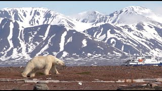 PolarNews Spezialreise Spitzbergen 2015 [upl. by Ceciley794]