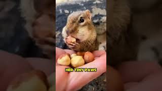 You Wont Believe This Squirrels PEANUT Heist 🐿️ shorts [upl. by Enelyam855]