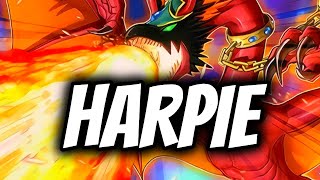 HARPIE DECK RECIPE  COMBOS  YuGiOh TCG [upl. by Ecineg]