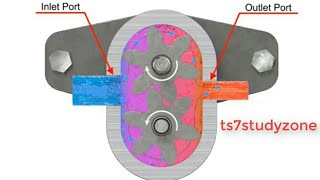 External Gear Pump Working Animation With Detail Explanation  TS7STUDYZONE [upl. by Bolen]