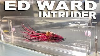 How to Tie an Ed Ward Intruder Steelhead Fly [upl. by Ayekehs]