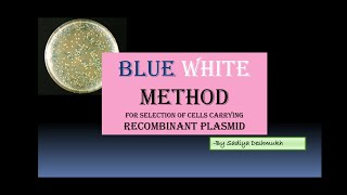 Blue White Screening For Selection of Recombinants  Identification of Transformed Cells  Hindi [upl. by Zink]