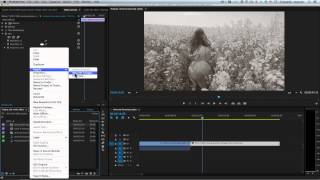 Premiere Tutorial Old Movie Effect in Adobe Premiere [upl. by Shaddock]