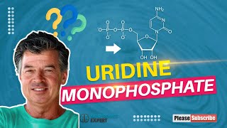 Uridine Monophosphate [upl. by Latihs]