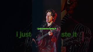 Harry Styles  Watermelon Sugar Lyrics [upl. by Adan]