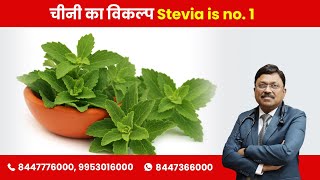 Artificial Sweetener  Substitute of Sugar STEVIA  By Dr Bimal Chhajer  Saaol [upl. by Shalne]