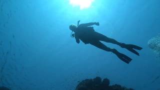 Scuba Diving Yanbu  Saudi Arabian Red Sea [upl. by Onirefez]