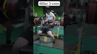 Bench press 480kg1058lb [upl. by Anrym]