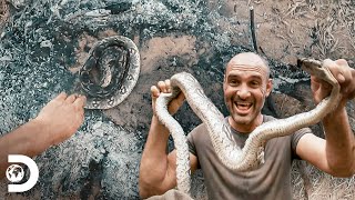 Come una boa Constrictor para no desfallecer  Ed Stafford al Extremo  Discovery Latinoamérica [upl. by Arodoeht39]