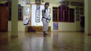 Fukyugata Ni  Okinawa Shorin Ryu Karatedo KYUDOKAN [upl. by Valida373]