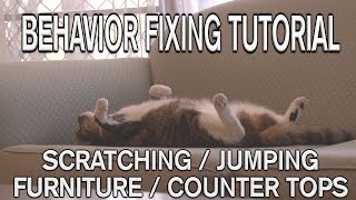 How to STOP scratching or jumping on furniture or counter tops [upl. by Ilbert94]