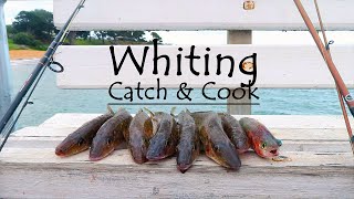 Whiting Catch amp Cook Easy Tasty Recipe [upl. by Elkin]