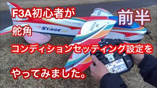 ラジコン飛行機F3A初心者がセッティングしました。 [upl. by Olen244]